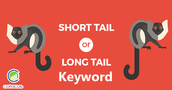 long-tail-keyword-and-short-tail-keyword
